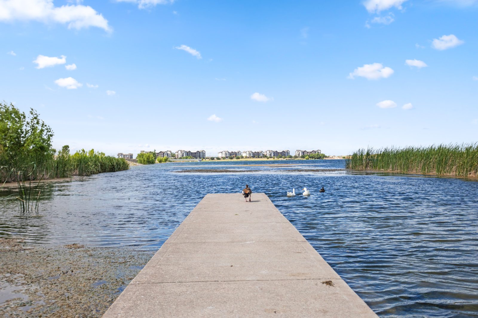 Community Lake — vacant two-story home, Austin TX real estate photography