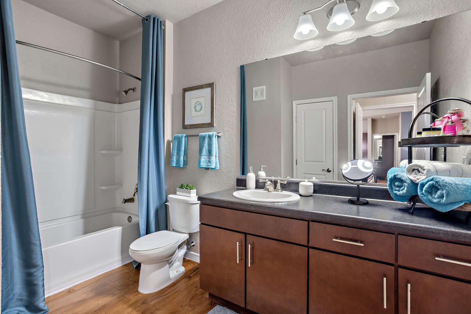 Primary Bath — Furnished Apartment